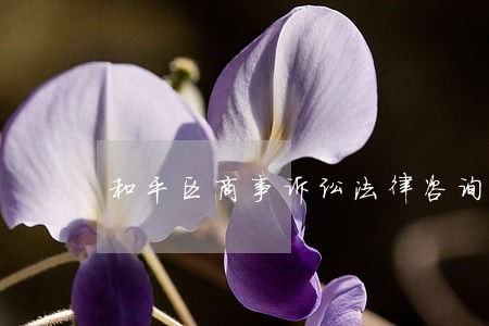 和平区商事诉讼法律咨询 和平区商事诉讼法律咨询