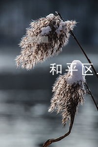 和平区工程房产律师 和平区工程房产律师