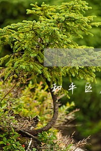 和平区房地产纠纷律师 和平区房地产纠纷律师