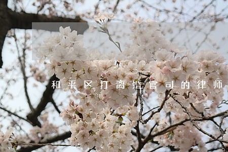 和平区打离婚官司的律师多少钱 和平区打离婚官司的律师多少钱