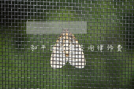 和平区法律咨询律师费