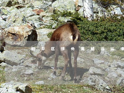 和平区涉外离婚诉讼律师价格 和平区涉外离婚诉讼律师价格