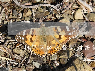 和平区经济合同纠纷律师收费标准 和平区经济合同纠纷律师收费标准