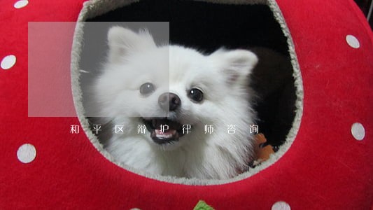 和平区辩护律师咨询 和平区辩护律师咨询