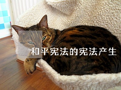 和平宪法的宪法产生 和平宪法的宪法产生