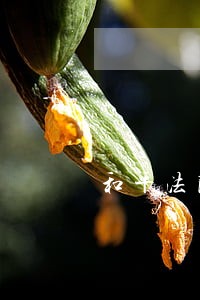 和平法院拍卖资产推介 和平法院拍卖资产推介