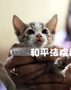 和平法院民事案件查询 和平法院民事案件查询