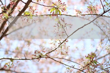 和平离婚抚养费怎么算标准 和平离婚抚养费怎么算标准