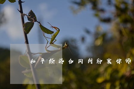 和平经济合同纠纷案律师怎么收费 和平经济合同纠纷案律师怎么收费