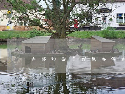 和律师签了代理协议但是没有诉讼 和律师签了代理协议但是没有诉讼