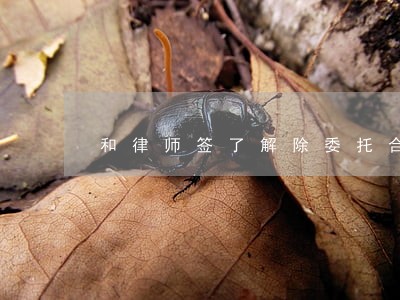 和律师签了解除委托合同 和律师签了解除委托合同