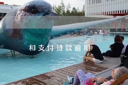 和支付贷款逾期 和支付贷款逾期