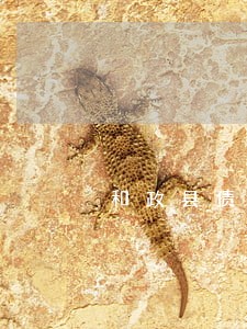 和政县债权融资纠纷律师 和政县债权融资纠纷律师