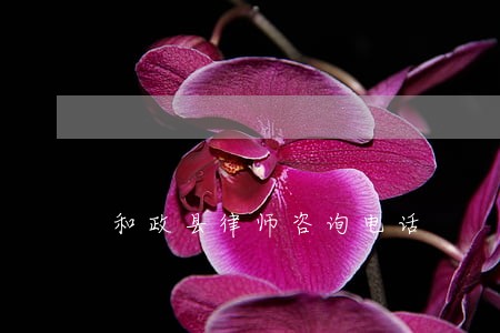和政县律师咨询电话 和政县律师咨询电话