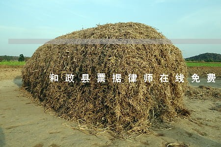 和政县票据律师在线免费咨询 和政县票据律师在线免费咨询