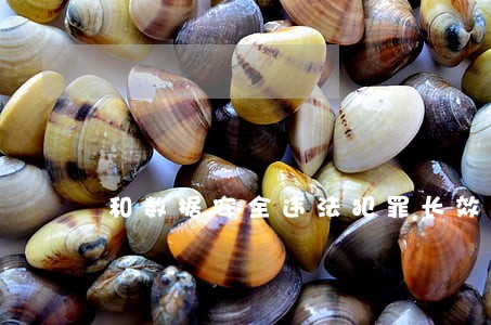 和数据安全违法犯罪长效机制建立 和数据安全违法犯罪长效机制建立