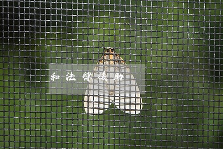 和法律援助 和法律援助