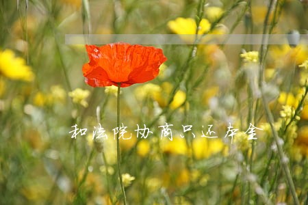 和法院协商只还本金