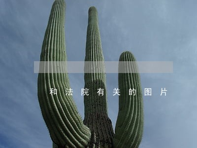 和法院有关的图片 和法院有关的图片