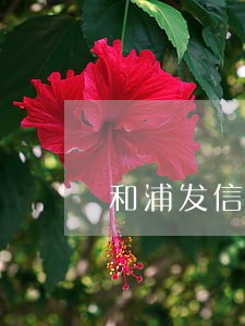 和浦发信用卡逾期协商没签协议 和浦发信用卡逾期协商没签协议