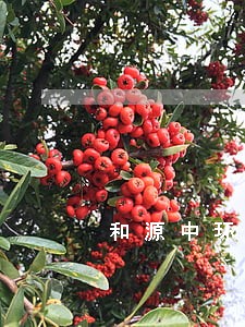 和源中环企业广场法律咨询