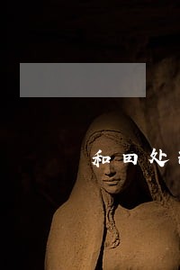 和田处理行政诉讼法律问题的律师