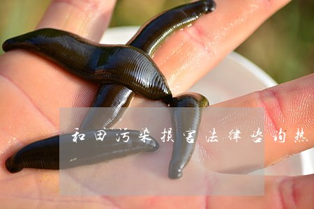 和田污染损害法律咨询热线 和田污染损害法律咨询热线