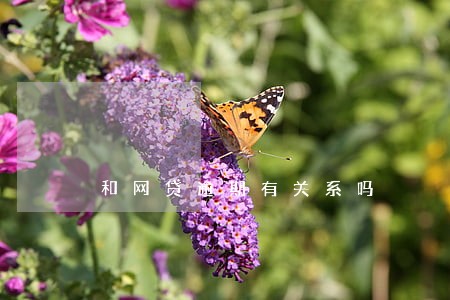 和网贷逾期有关系吗 和网贷逾期有关系吗