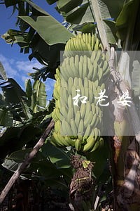 和老婆吵架闹离婚她不想看到我 和老婆吵架闹离婚她不想看到我