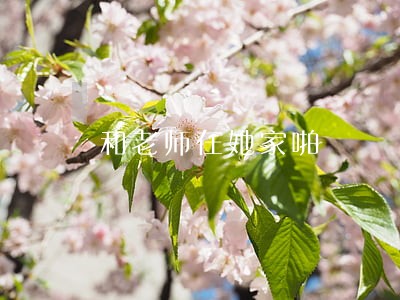 和老师在她家啪 和老师在她家啪