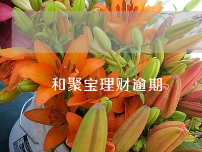 和聚宝理财逾期 和聚宝理财逾期