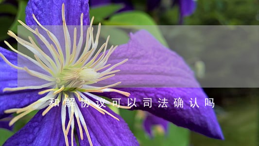 和解协议可以司法确认吗 和解协议可以司法确认吗
