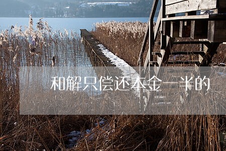和解只偿还本金一半的 和解只偿还本金一半的
