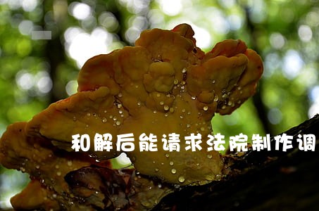 和解后能请求法院制作调解书吗 和解后能请求法院制作调解书吗