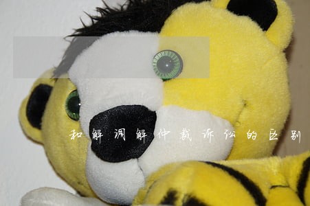 和解调解仲裁诉讼的区别 和解调解仲裁诉讼的区别