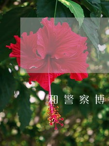 和警察博物馆天气预报