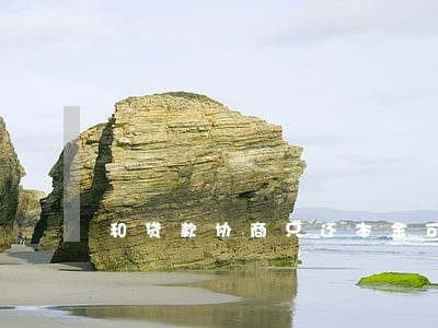 和贷款协商只还本金可以吗 和贷款协商只还本金可以吗