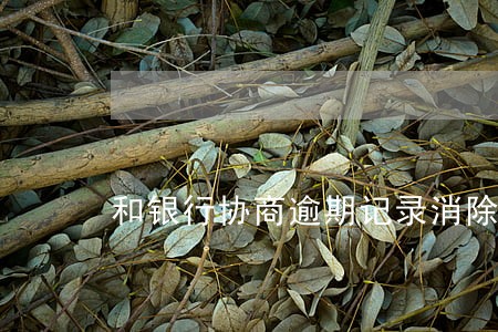和银行协商逾期记录消除 和银行协商逾期记录消除