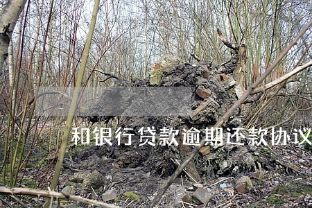 和银行贷款逾期还款协议 和银行贷款逾期还款协议