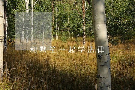 和默笙一起学法律