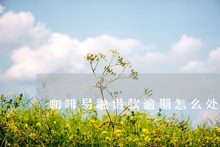 咖啡易融借款逾期怎么处理还款 咖啡易融借款逾期怎么处理还款
