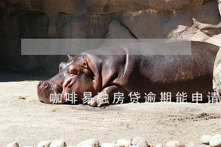 咖啡易融房贷逾期能申请额度吗 咖啡易融房贷逾期能申请额度吗