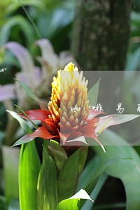 咖啡易融逾期了会怎么样 咖啡易融逾期了会怎么样