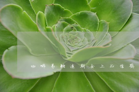 咖啡易融逾期会上征信嘛 咖啡易融逾期会上征信嘛