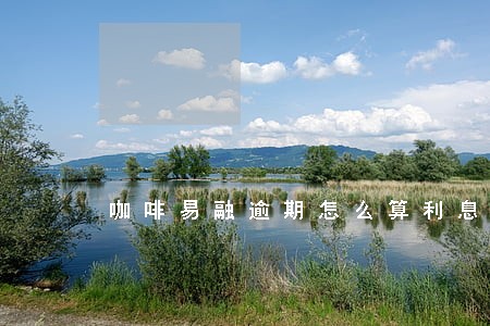 咖啡易融逾期怎么算利息的 咖啡易融逾期怎么算利息的