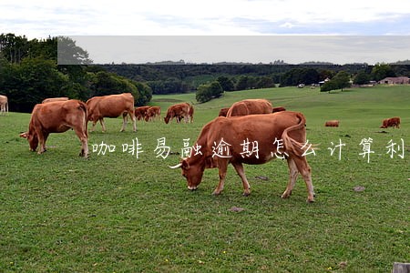 咖啡易融逾期怎么计算利息 咖啡易融逾期怎么计算利息