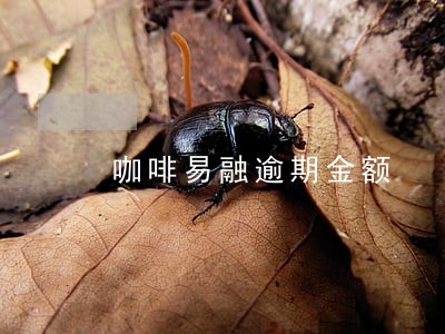 咖啡易融逾期金额 咖啡易融逾期金额