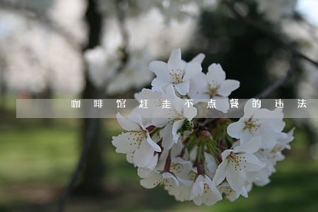 咖啡馆赶走不点餐的违法吗 咖啡馆赶走不点餐的违法吗