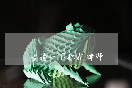 咨询一下你们律师 咨询一下你们律师