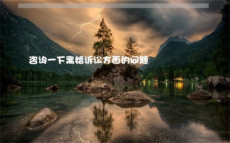 咨询一下离婚诉讼方面的问题 咨询一下离婚诉讼方面的问题